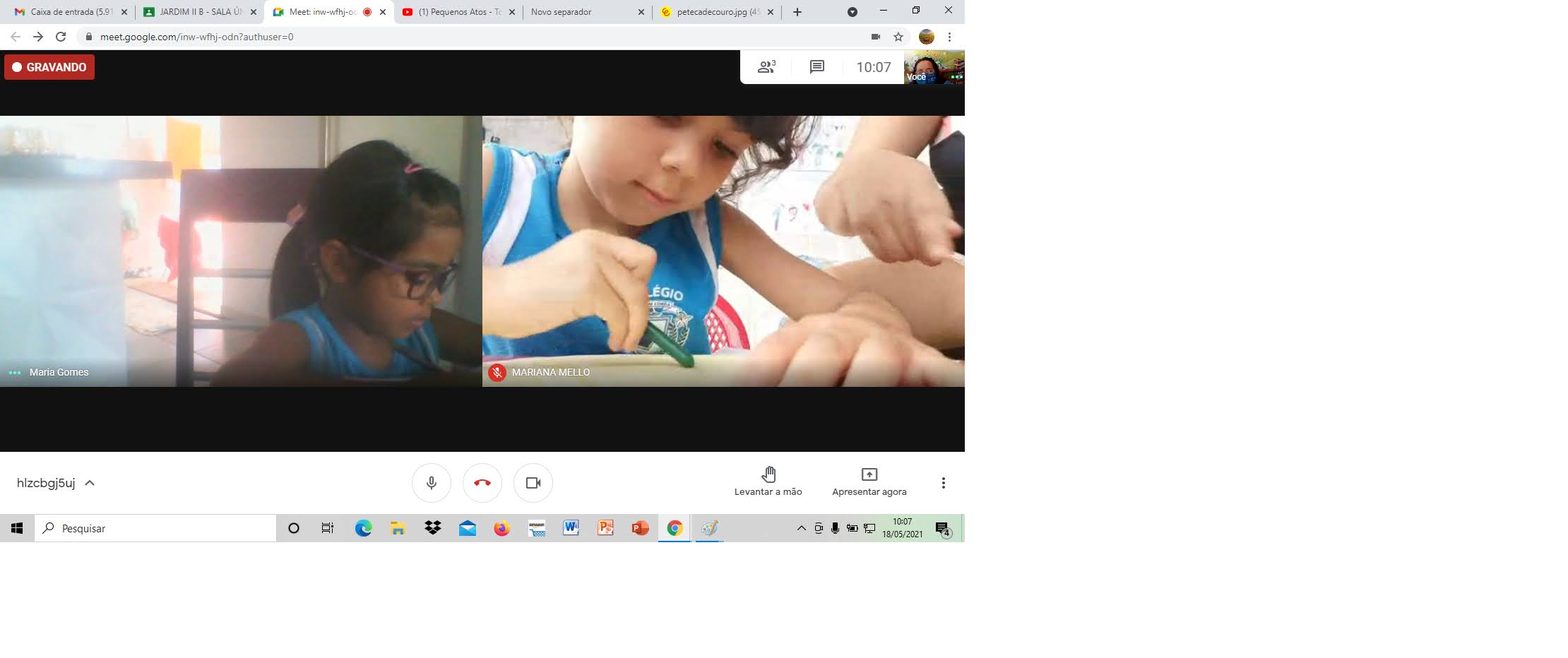 PETECA JARDIM II A (7).jpg