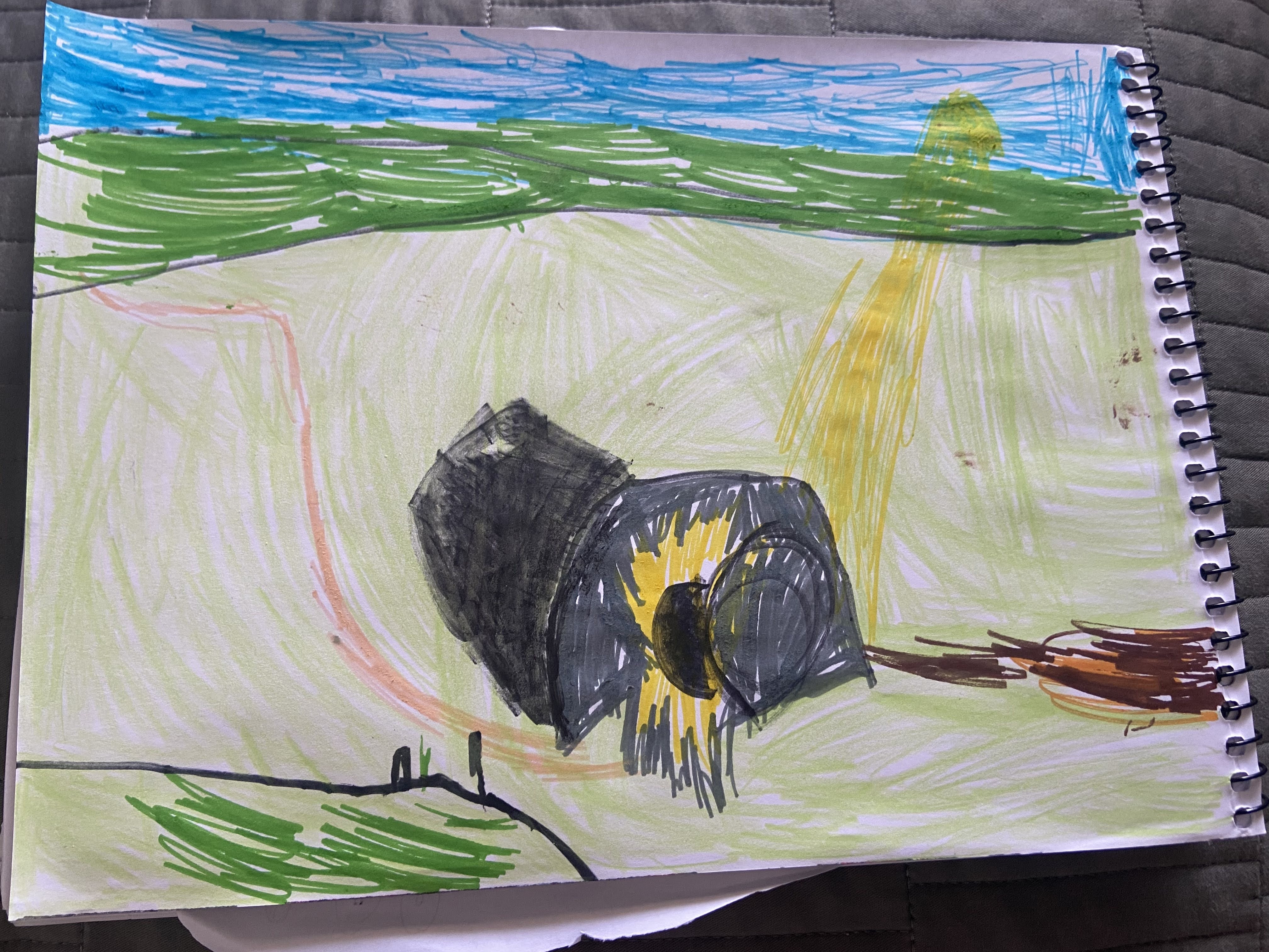 João Pedro Silva - 3º A.jpeg