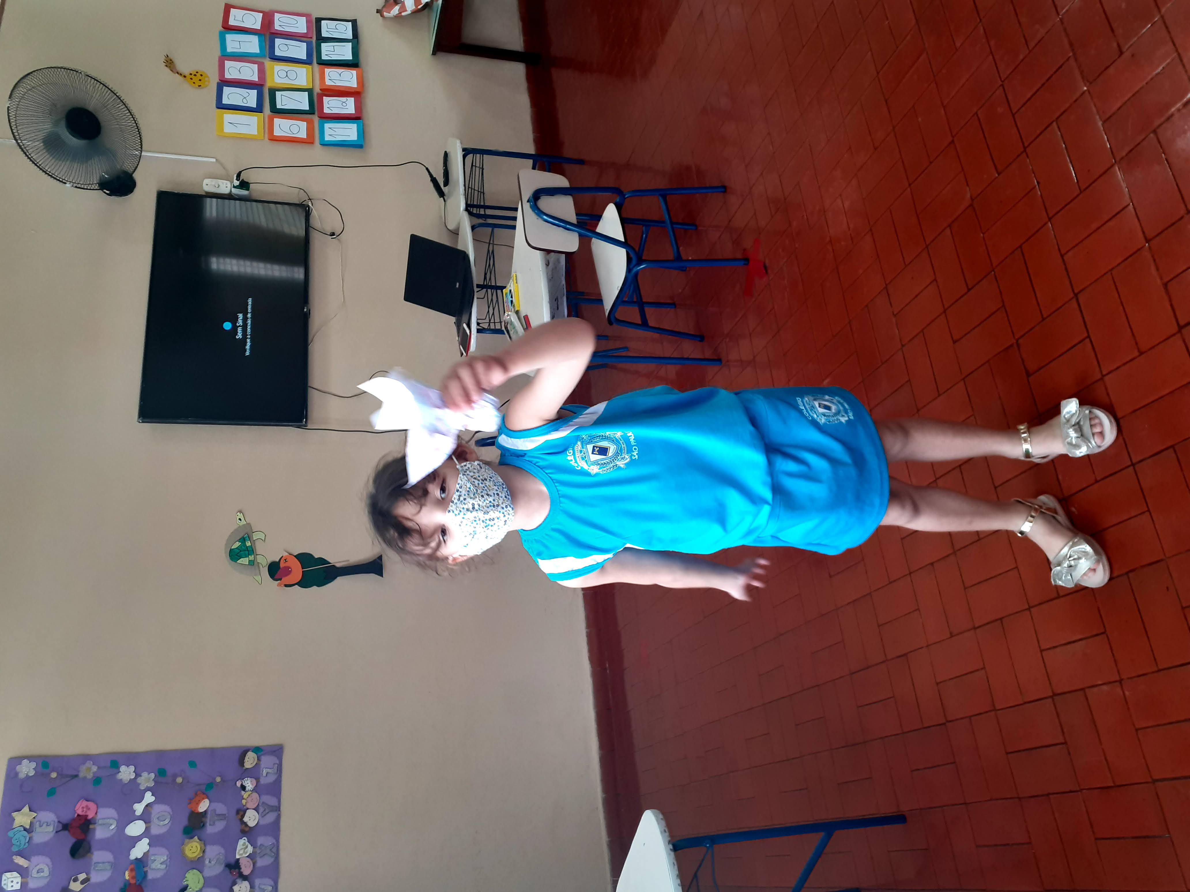 PETECA JARDIM II A (3).jpg