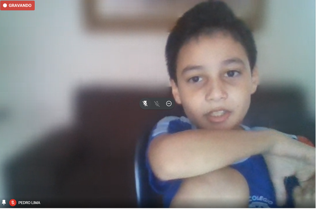 BIOMAS BRASILEIROS - 4C (1).png